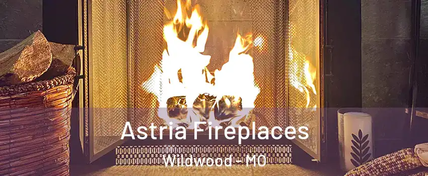  Astria Fireplaces Wildwood - MO