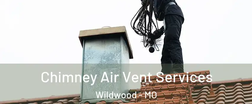  Chimney Air Vent Services Wildwood - MO