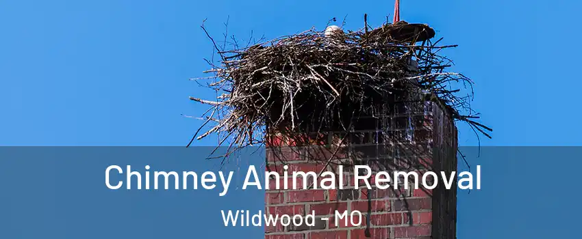 Chimney Animal Removal Wildwood - MO