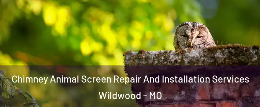  Chimney Animal Screen Repair And Installation Services Wildwood - MO