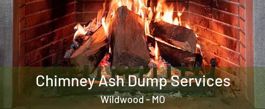  Chimney Ash Dump Services Wildwood - MO