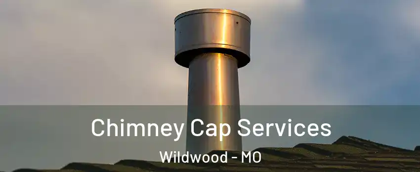  Chimney Cap Services Wildwood - MO