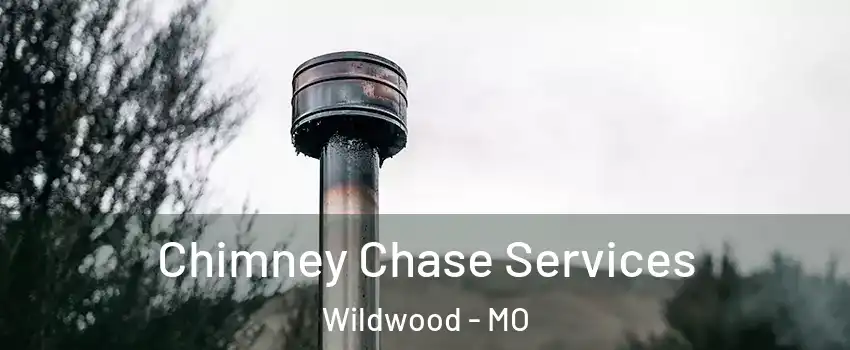  Chimney Chase Services Wildwood - MO