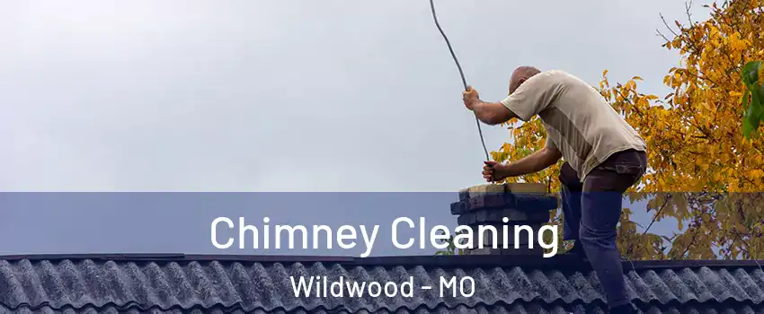  Chimney Cleaning Wildwood - MO