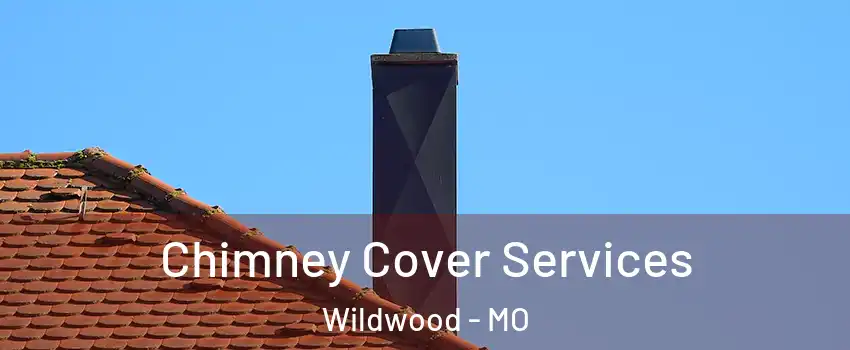  Chimney Cover Services Wildwood - MO