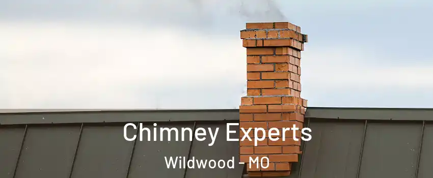 Chimney Experts Wildwood - MO