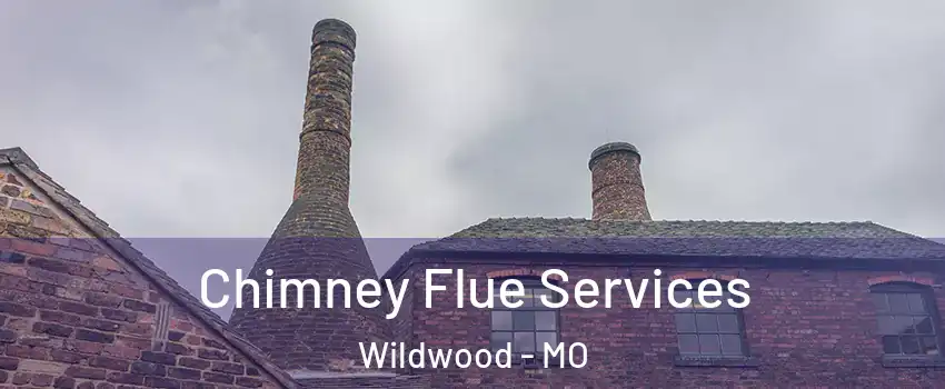  Chimney Flue Services Wildwood - MO