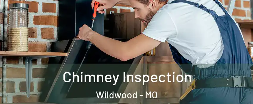  Chimney Inspection Wildwood - MO
