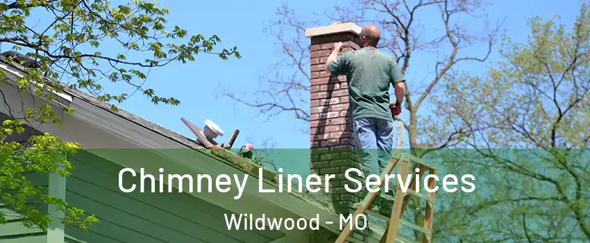  Chimney Liner Services Wildwood - MO