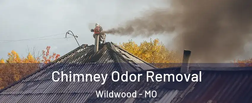  Chimney Odor Removal Wildwood - MO