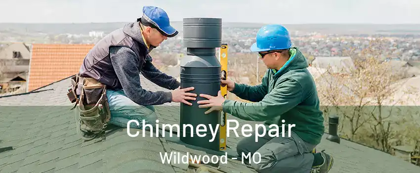  Chimney Repair Wildwood - MO
