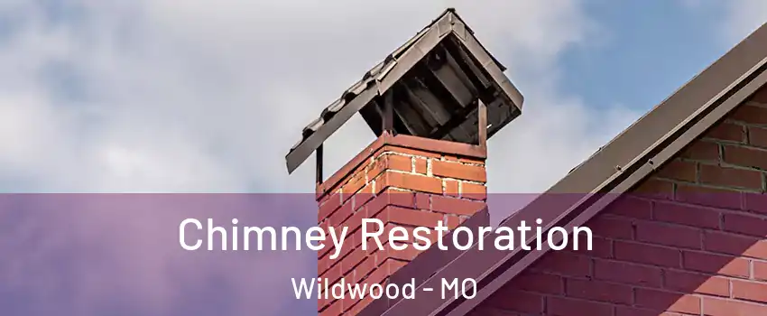  Chimney Restoration Wildwood - MO