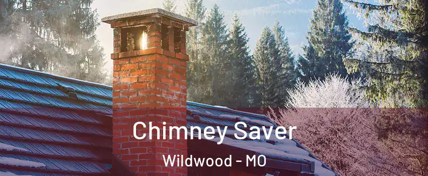  Chimney Saver Wildwood - MO