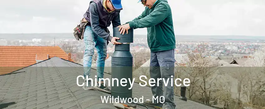  Chimney Service Wildwood - MO