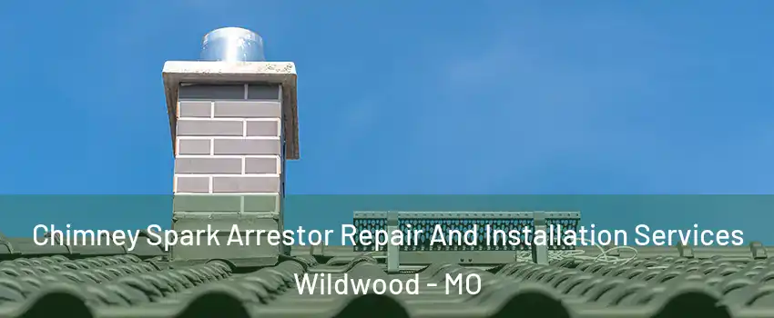  Chimney Spark Arrestor Repair And Installation Services Wildwood - MO