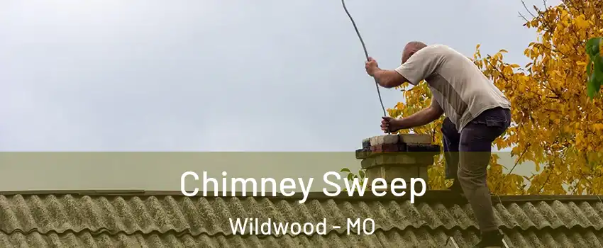  Chimney Sweep Wildwood - MO
