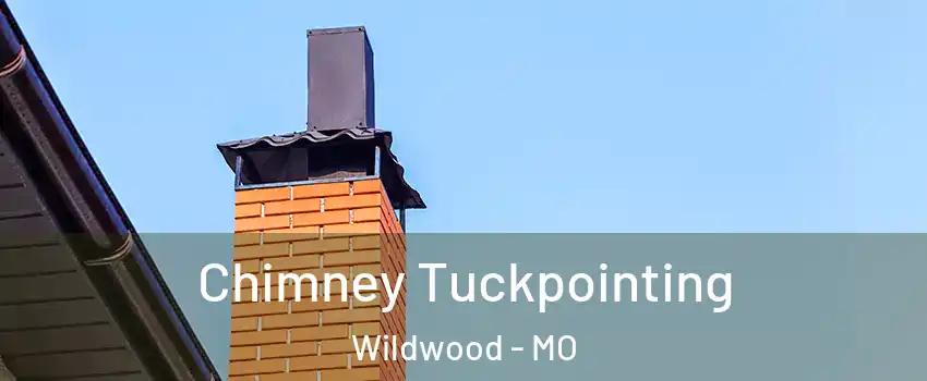  Chimney Tuckpointing Wildwood - MO