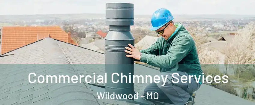  Commercial Chimney Services Wildwood - MO