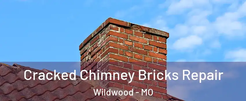  Cracked Chimney Bricks Repair Wildwood - MO