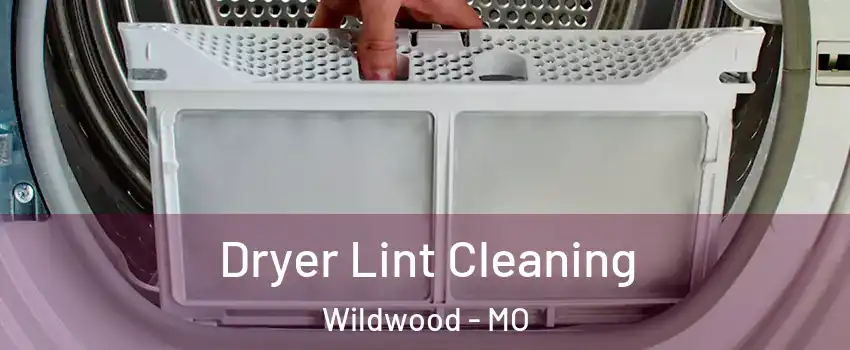  Dryer Lint Cleaning Wildwood - MO