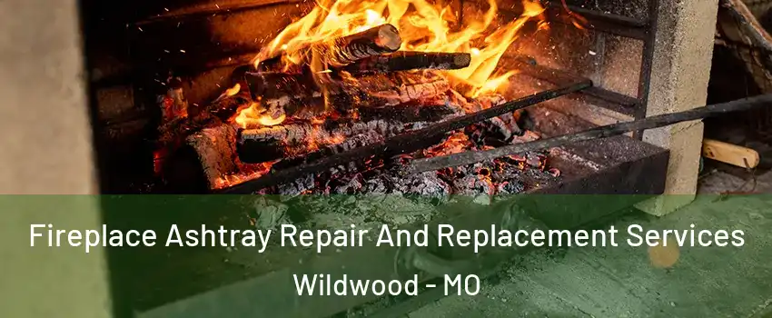  Fireplace Ashtray Repair And Replacement Services Wildwood - MO