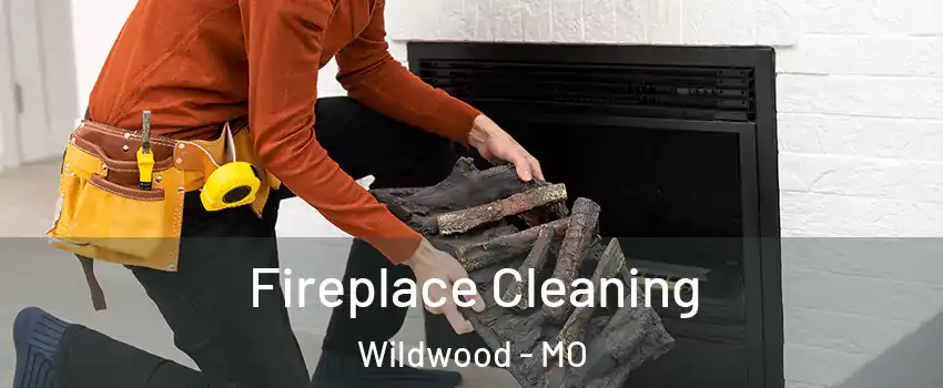  Fireplace Cleaning Wildwood - MO