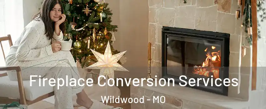  Fireplace Conversion Services Wildwood - MO