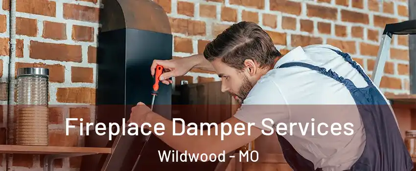  Fireplace Damper Services Wildwood - MO