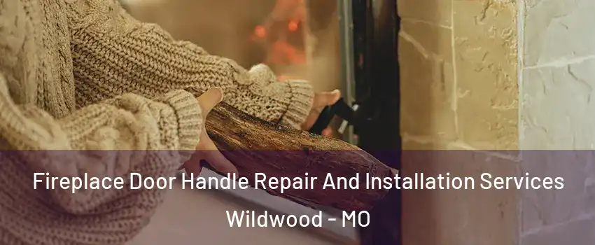  Fireplace Door Handle Repair And Installation Services Wildwood - MO