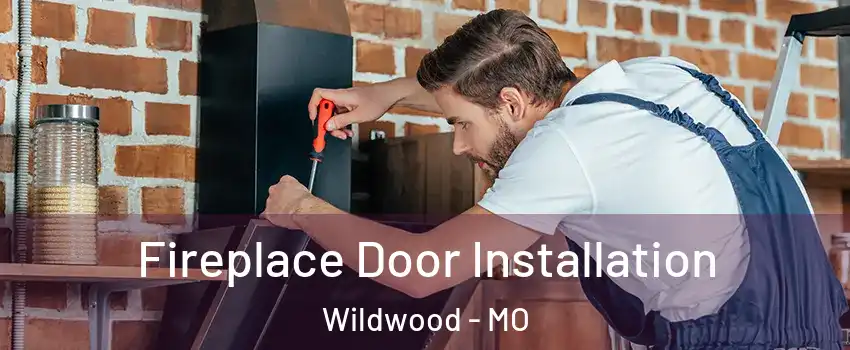  Fireplace Door Installation Wildwood - MO