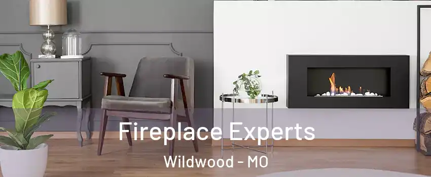  Fireplace Experts Wildwood - MO