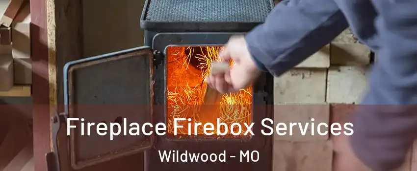  Fireplace Firebox Services Wildwood - MO