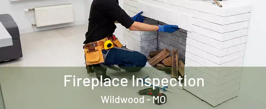  Fireplace Inspection Wildwood - MO