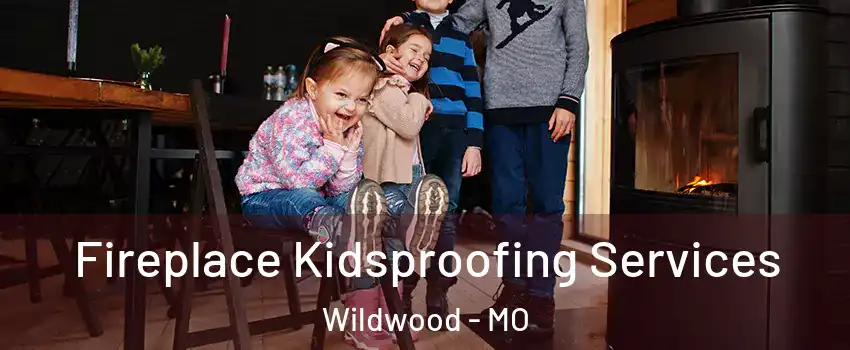  Fireplace Kidsproofing Services Wildwood - MO