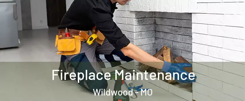  Fireplace Maintenance Wildwood - MO