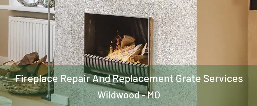  Fireplace Repair And Replacement Grate Services Wildwood - MO