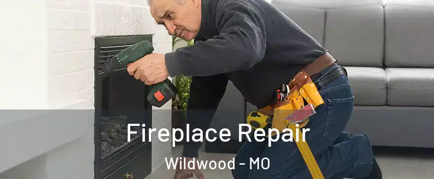  Fireplace Repair Wildwood - MO