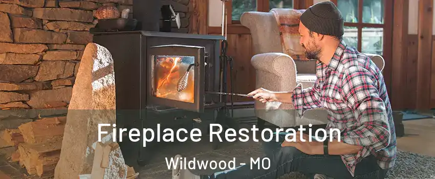  Fireplace Restoration Wildwood - MO