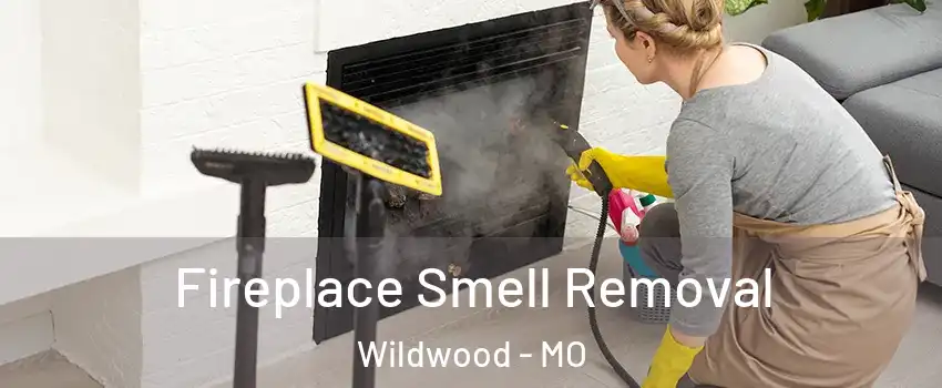  Fireplace Smell Removal Wildwood - MO