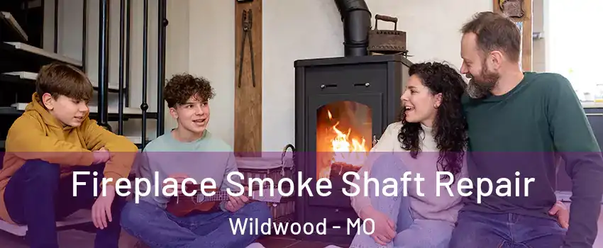  Fireplace Smoke Shaft Repair Wildwood - MO