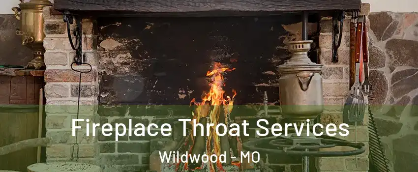  Fireplace Throat Services Wildwood - MO