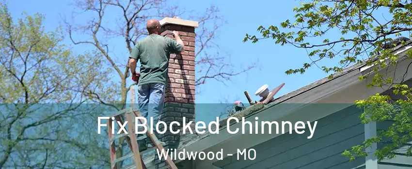 Fix Blocked Chimney Wildwood - MO