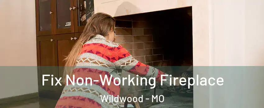  Fix Non-Working Fireplace Wildwood - MO