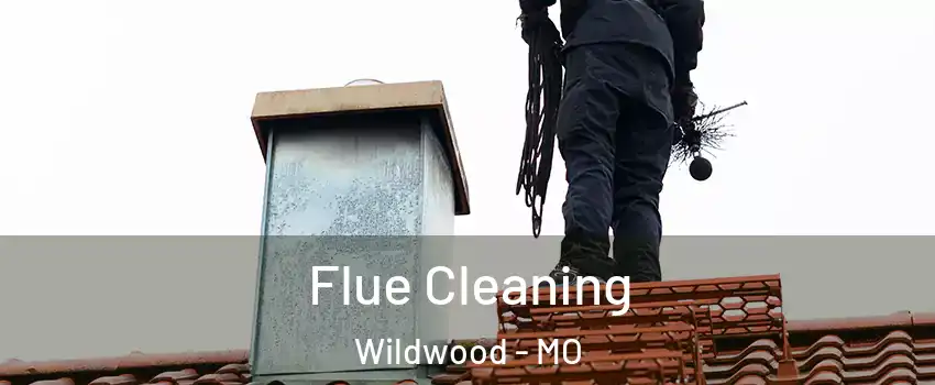  Flue Cleaning Wildwood - MO