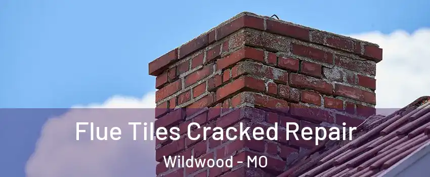  Flue Tiles Cracked Repair Wildwood - MO