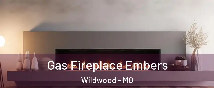  Gas Fireplace Embers Wildwood - MO