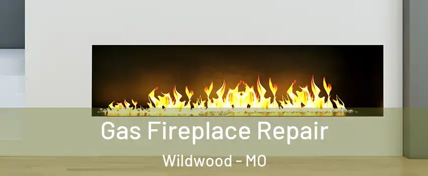 Gas Fireplace Repair Wildwood - MO