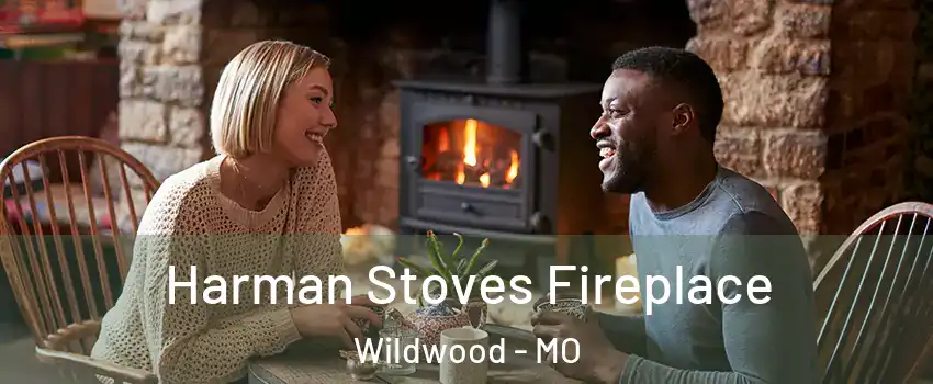  Harman Stoves Fireplace Wildwood - MO