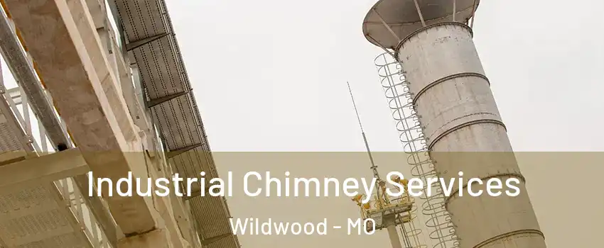  Industrial Chimney Services Wildwood - MO