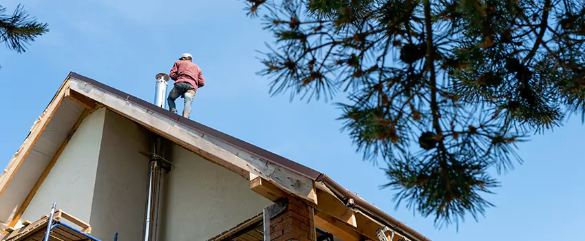 Birds Removal Contractors from Chimney in Wildwood, MO